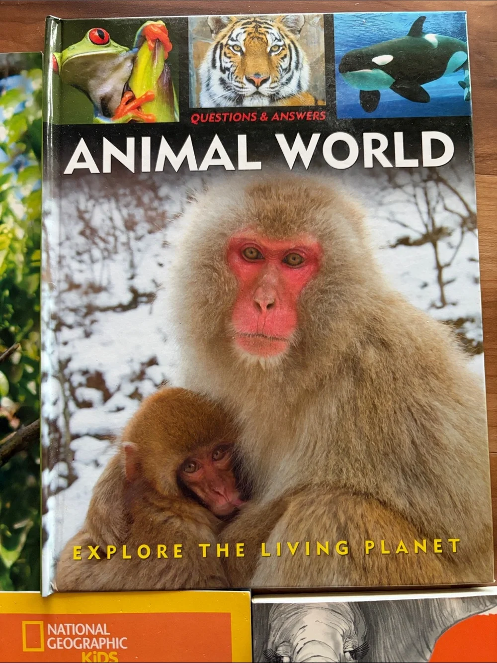 7 Wildlife Picture Books monkeys elephants dinosaurs nonfiction animal stories